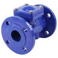 Клапан обратный шаровой DN.ru GGG50-GGG50-БНК-сп Ду50 Ру16 со сливной пробкой, чугунный D100-01576