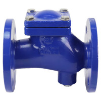 Клапан обратный шаровой DN.ru GGG50-GGG50-БНК-сп Ду50 Ру16 со сливной пробкой, чугунный D100-01576