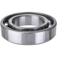 Подшипник CNIC 107 6007 691