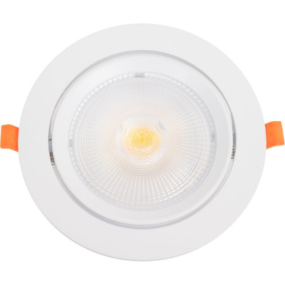 Встраиваемый светильник NOVOTECH поворотный светодиодный пластик LED 20W STERN 358000