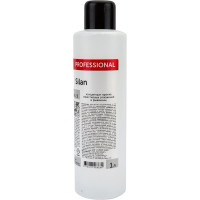 Концентрат против известковых отложений и ржавчины PRO-BRITE SILAN 1 л 074-1