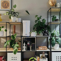 Увлажнитель воздуха ультразвуковой Stadler Form Eva WiFi, с пультом и функцией умного дома Smart Home, белый E-008