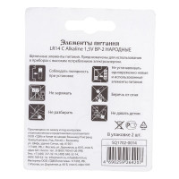 Батарейка LR14 C TDM ELECTRIC Alkaline 1,5V BP-2 (упаковка 2 штуки) SQ1702-0014