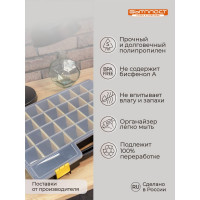 Органайзер Бытпласт WORKER, 19, 480х370х70 мм, серый 433240511
