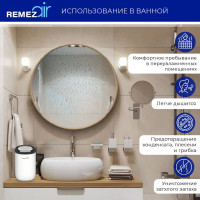Портативный осушитель воздуха Remezair RMD-303 ЦБ-00000242