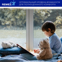 Портативный осушитель воздуха Remezair RMD-303 ЦБ-00000242