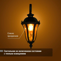 Светильник уличный TDM ELECTRIC "Вена" 60 Вт, вниз, алюминий, прозрачное/черный, Е27 SQ0330-0203