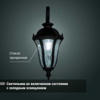 Светильник уличный TDM ELECTRIC "Вена" 60 Вт, вниз, алюминий, прозрачное/черный, Е27 SQ0330-0203