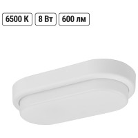Светильник в ванную настенный светодиодный LED ДПП 3801 8Вт 6500К IP65 белый овал 155х78х57 мм TDM ELECTRIC SQ0329-0812