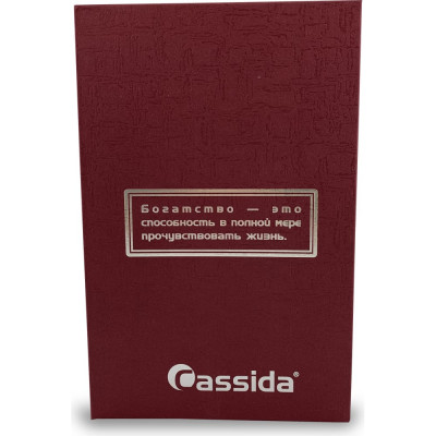 Сейф-книга Cassida 000027