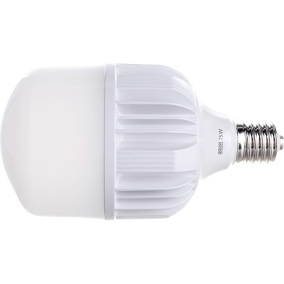 Gauss Лампа Elementary T140 75W 7000lm 6500K E40 Promo LED 1/12 60438