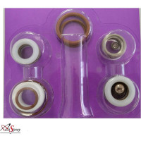 Ремкомплект аналог Graco AktiSpray 244194AvS