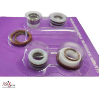 Ремкомплект аналог Graco AktiSpray 244194AvS