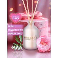 Ароматический диффузор Breesal Aroma Sphere Свежесть чувств ARD/002