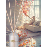 Ароматический диффузор Breesal Aroma Sphere Свежесть чувств ARD/002