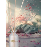 Ароматический диффузор Breesal Aroma Sphere Свежесть чувств ARD/002