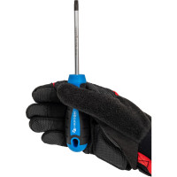 Отвертка HOEGERT TECHNIK TORX T30, 100 мм, сталь S2 HT1S058