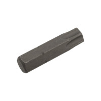 Биты магнитные Torx40H, 25 мм, 2 шт, S2 Berger BG BG2395