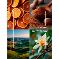 Декоративный ароматизатор Breesal Arome Sticks Антистресс ARST/003