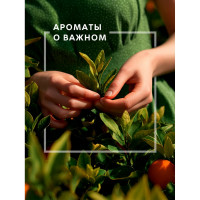 Декоративный ароматизатор Breesal Arome Sticks Антистресс ARST/003