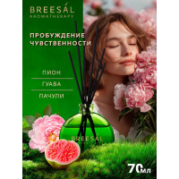 Декоративный ароматизатор Breesal Arome Sticks Пробуждение чувственности ARST/001