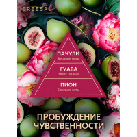 Декоративный ароматизатор Breesal Arome Sticks Пробуждение чувственности ARST/001