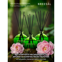 Декоративный ароматизатор Breesal Arome Sticks Пробуждение чувственности ARST/001