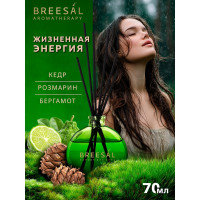 Декоративный ароматизатор Breesal Arome Sticks Жизненная энергия ARST/002