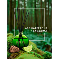 Декоративный ароматизатор Breesal Arome Sticks Жизненная энергия ARST/002