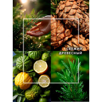 Декоративный ароматизатор Breesal Arome Sticks Жизненная энергия ARST/002