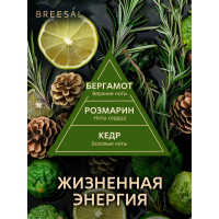 Декоративный ароматизатор Breesal Arome Sticks Жизненная энергия ARST/002