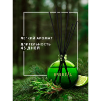 Декоративный ароматизатор Breesal Arome Sticks Жизненная энергия ARST/002