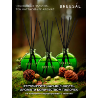 Декоративный ароматизатор Breesal Arome Sticks Жизненная энергия ARST/002