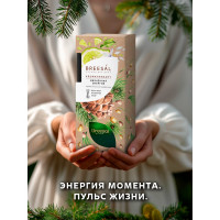 Декоративный ароматизатор Breesal Arome Sticks Жизненная энергия ARST/002