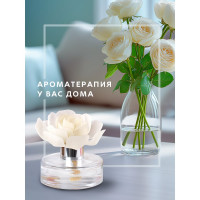 Декоративный ароматизатор Breesal Arome Fleur Шлейф волшебства B/D20171