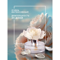 Декоративный ароматизатор Breesal Arome Fleur Шлейф волшебства B/D20171