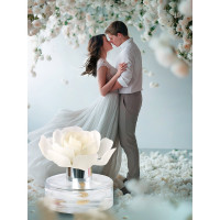 Декоративный ароматизатор Breesal Arome Fleur Шлейф волшебства B/D20171