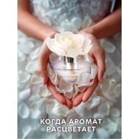 Декоративный ароматизатор Breesal Arome Fleur Шлейф волшебства B/D20171