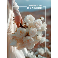 Декоративный ароматизатор Breesal Arome Fleur Шлейф волшебства B/D20171