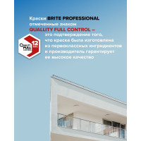 Фасадная краска BRITE PROFESSIONAL всесезонная, матовая база С (для колеровки), ведро 9 л О02488