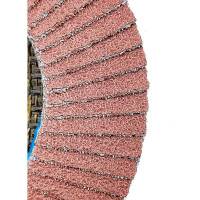 Диск лепестковый (115х22 мм; Р60) Karbosan KAR-981220