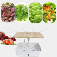 Интеллектуальная гидропонная плантация Green Helper GZ204