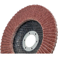 Круг лепестковый торцевой (125х22.23 мм; P40; корунд) CARBODISK Н0160536 00-00016195