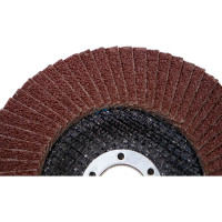 Круг лепестковый торцевой (125х22.23 мм; P40; корунд) CARBODISK Н0160536 00-00016195