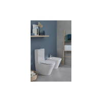 Чаша напольного унитаза Jacob Delafon Rodin+ 00270162 UJAB102-00