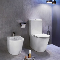 Чаша напольного унитаза Jacob Delafon Rodin+ 00270162 UJAB102-00