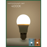Светодиодная лампа SAFFIT SBA7035 Шар E27 35W 4000K 55198
