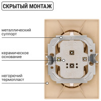 Розетка TDM ELECTRIC двойная 2П+З 16А 250В "ЭКО" сосна "Таймыр" SQ1814-0214
