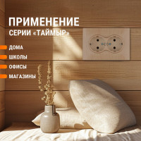 Розетка TDM ELECTRIC двойная 2П+З 16А 250В "ЭКО" сосна "Таймыр" SQ1814-0214