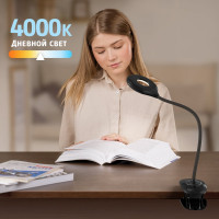 Настольный светодиодный аккумуляторный светильник ФОТОН CL-05D4A-B 5 W, черный 24326